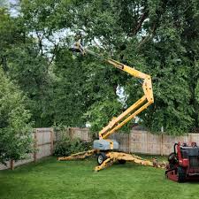 Best Tree Health Inspection  in Cascade Valley, WA